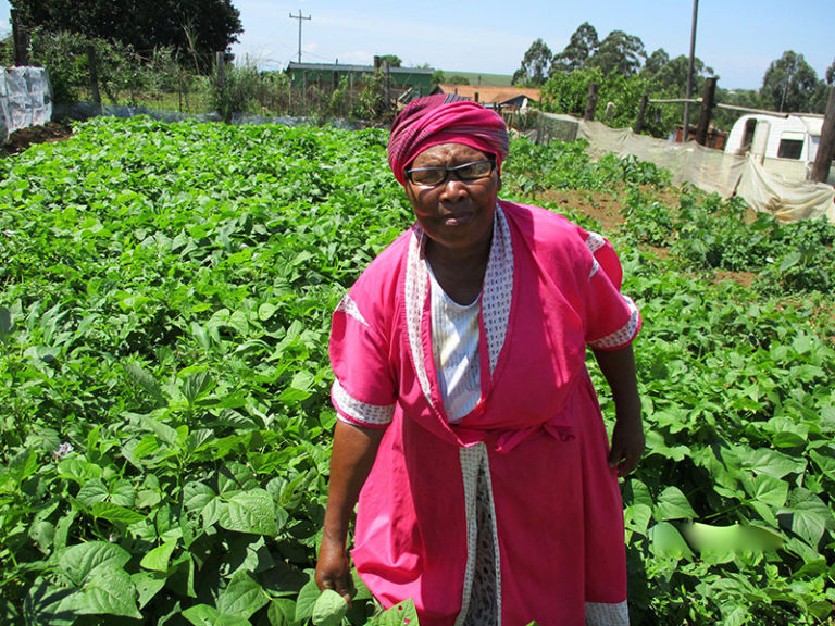 Balungile Nyembe and uses the profit she earns from beans and potatoes to pay for her family’s needs.