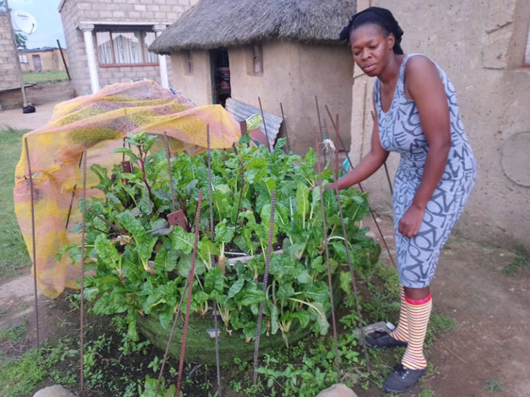 Nokuthula Magubane grows her vegetables in a tower garden.