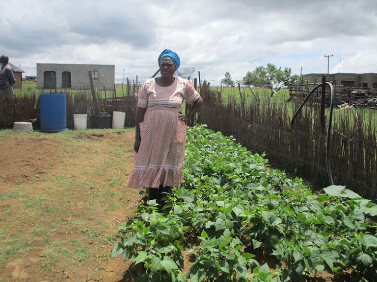 Nomlindelo Mkhize no longer just depends on the children’s grants as she did before.