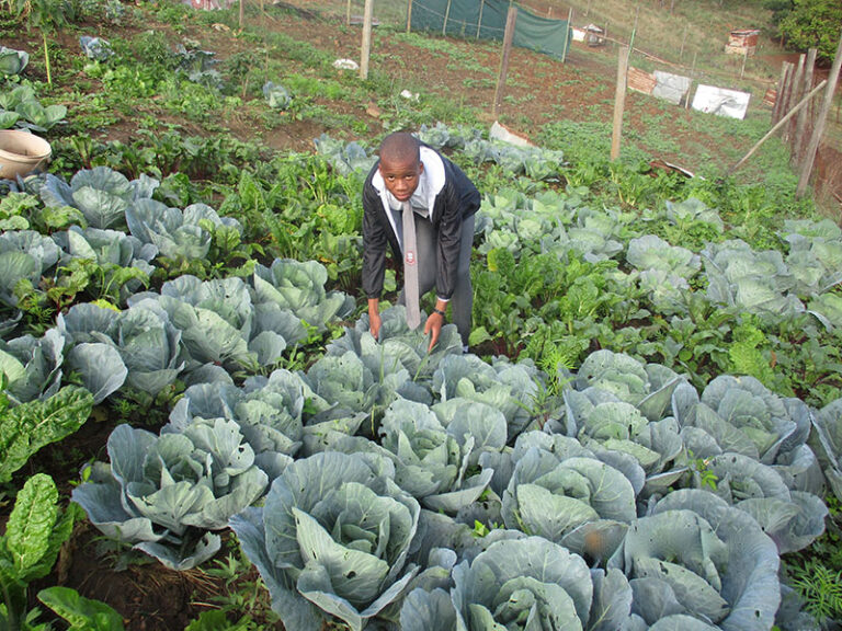 Njabulo Tenza benefited from one of the popular Youth Basic Life Skills courses.