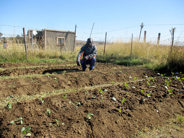 Sifiso Shabalala joined with the intention of getting more knowledge in Agriculture and business skills.