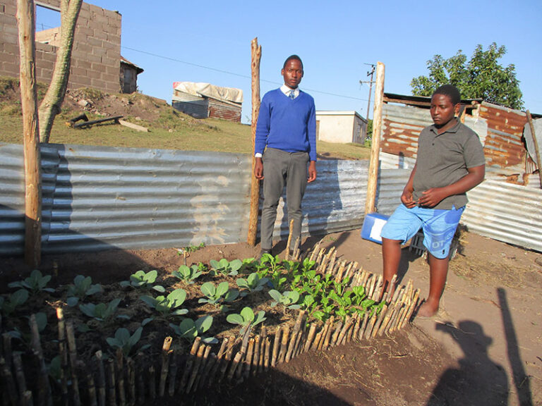 Zenzele and Musa Mgwaba decided to start their own little plot of spinach after attending the Youth Basic Life Skill scourse.