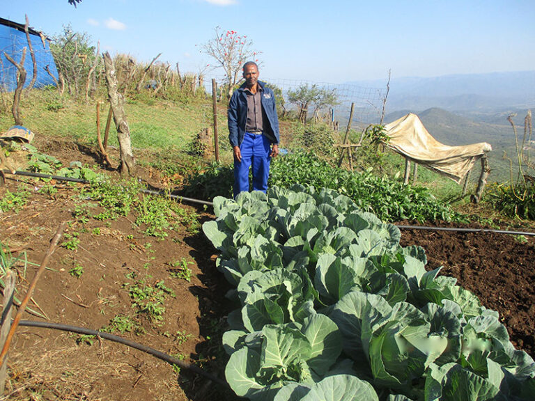 Bhekinkosi Mthimkhulu learned that he could use deep trenches to plant vegetables as they have a water problem in his area.