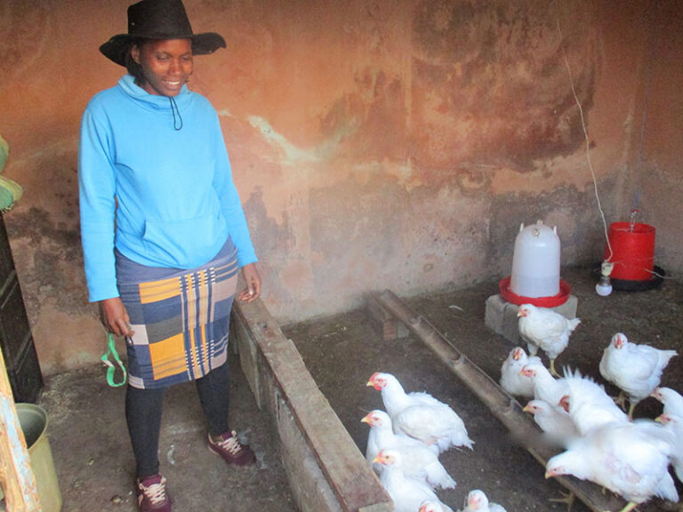 Sindi Jaca from KwaDunuse zone in Highflats practises mixed farming.