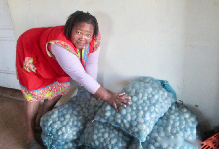 Deliziwe Khuzwayo continues with her good work of farming.