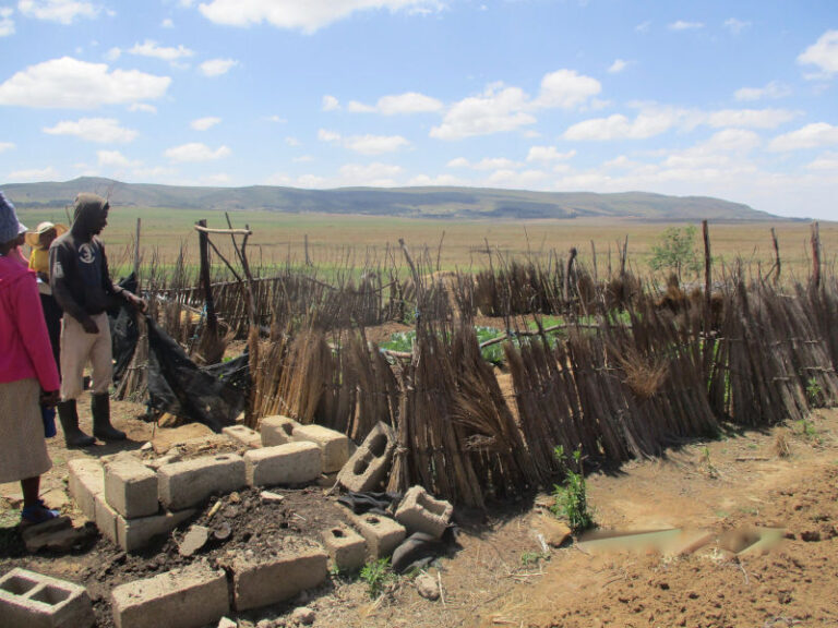 Mlungisi Xulu from Sicelumusa group at Nquthu used what was available to surround his vegetable garden.