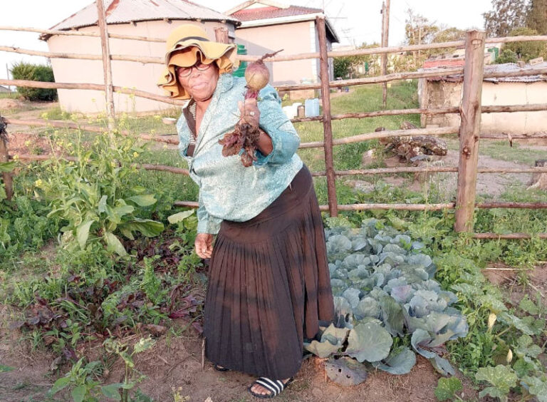 Babambile Dlamini plants different types of vegetables in her garden.