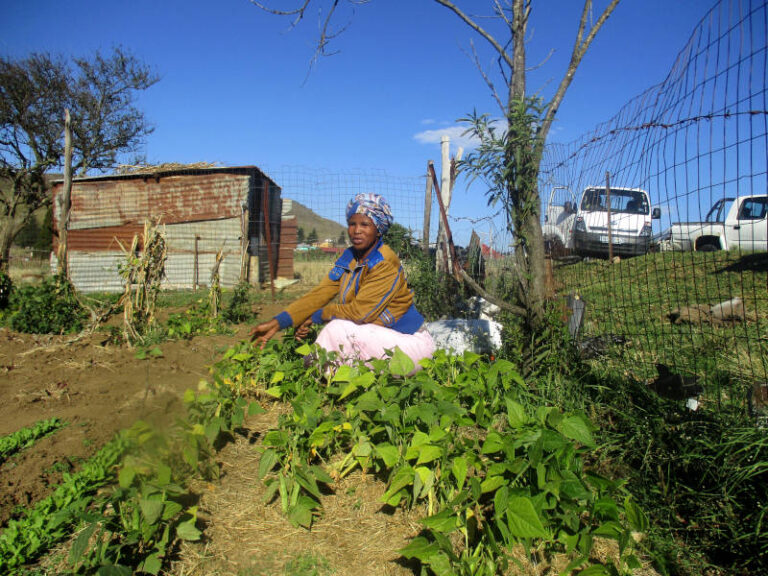 Nonjabulo Maphela is from Gomane, Impendle