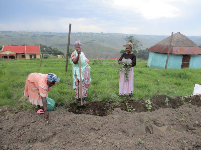 These 3 ladies are doing something called “Lilima”.