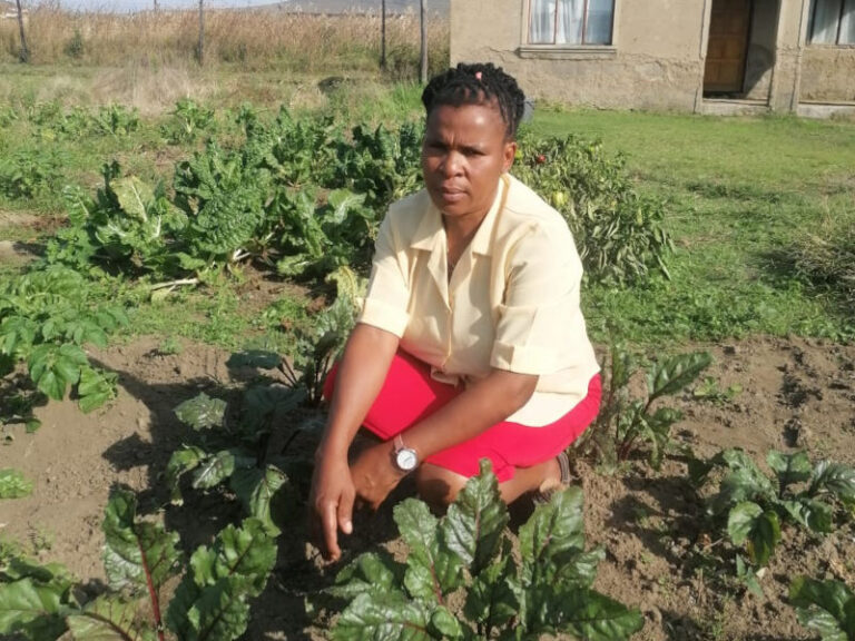 Bongekile Ndima a group member from the Nkande zone in Nquthu joined the programme in 2023.