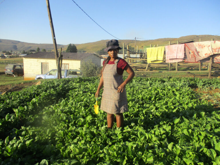 Gugu Ncobo is making steady progress toward ensuring a sustainable garden.