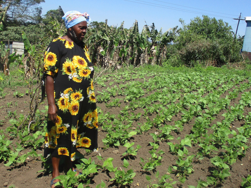 ACAT KZN - Helping rural Africans deal with Poverty, Malnutrition and HIV.