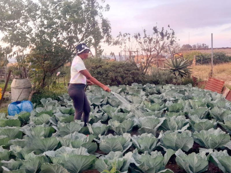 ACAT KZN - Helping rural Africans deal with Poverty, Malnutrition and HIV.