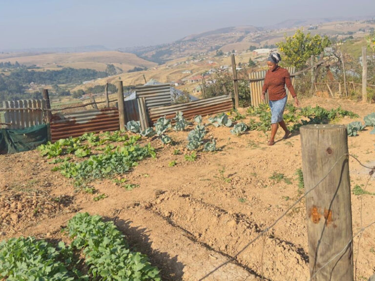 Maneli Shabalala says she started to see the benefits of being part of the programme.