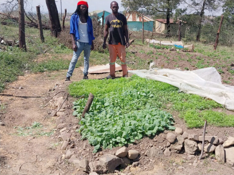 Lindani Sibusiso Malunga joined the development programme in 2025.