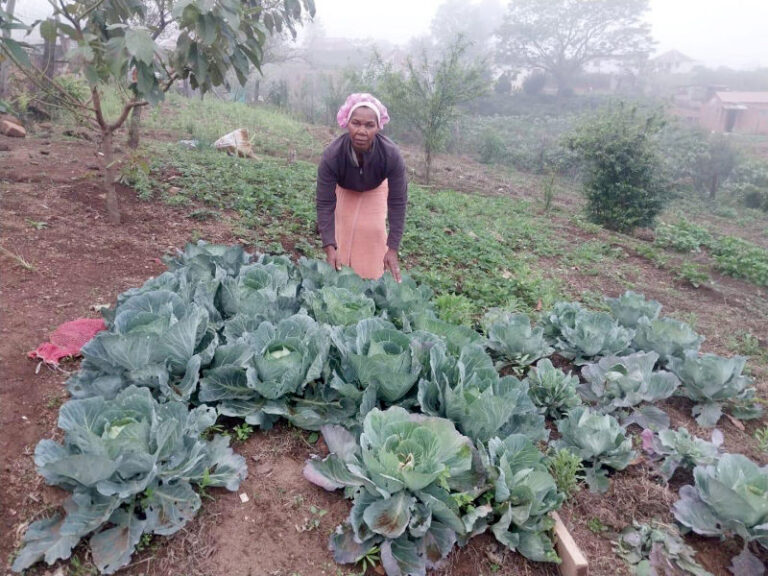 Thabisile Zakwe has always had a passion for planting vegetables.